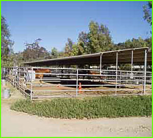 sycamore canyon horse stables rates