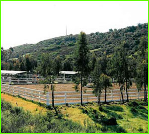 sycamore canyon horse stables back arena.